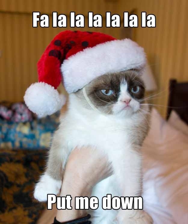 [Image: grumpy_cat_christmas_9.jpg]