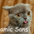 cats_as_fonts_02.jpg