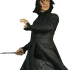 10620_Professor Snape Year 6 MB image.jpg