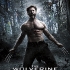the-wolverine-poster.jpeg