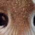 Jason-Edmiston-Eyes-Without-a-Face-11.jpg