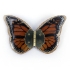 lisa_black_guilded_butterfly_jewelery_7.jpg