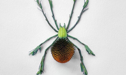 Natura-Insects-by-Raku-Inoue-8-1020x610.jpg