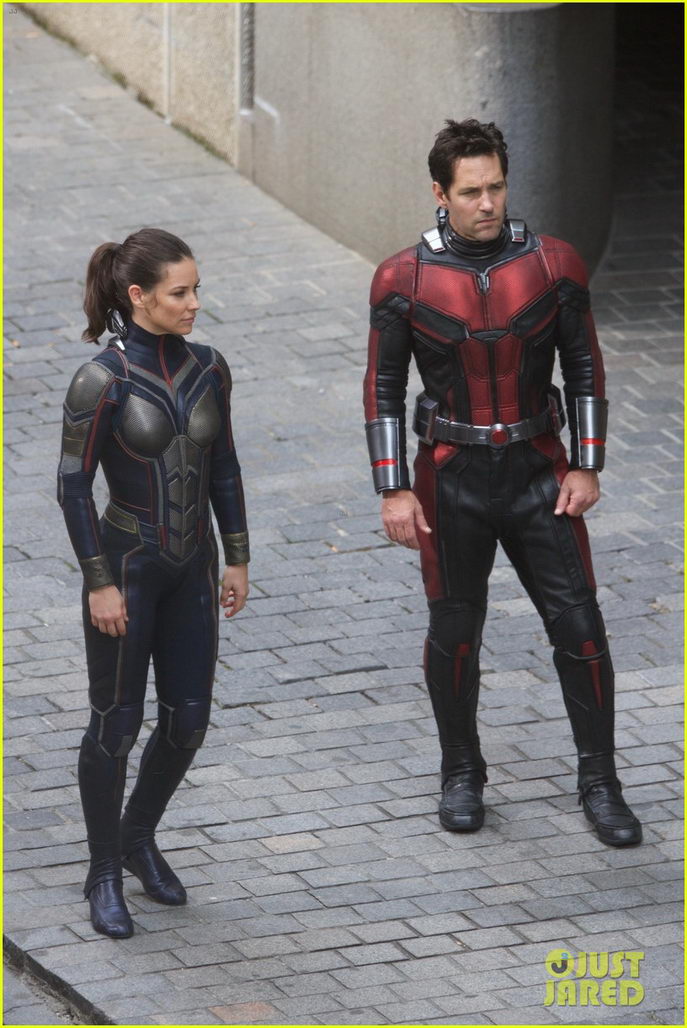Paul Rudd and Evangeline Lilly Suit Up In New 'Ant-Man and ...