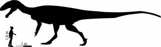 Dinosaur-Size-889x264.jpg
