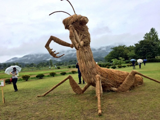 dinosaur-straw-sculptures-wara-art-festival-2015-niigata-japan-669.jpg