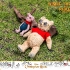 Hot Toys - Christopher Robin - Winnie the Pooh  Piglet Collectible Set_PR11.jpg
