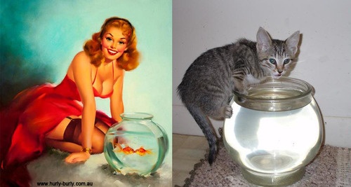 cats that look like pin-up models_6.jpg