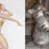 cats that look like pin-up models_8.jpg