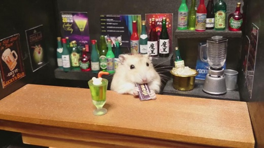 hamster-bartender-2.jpg