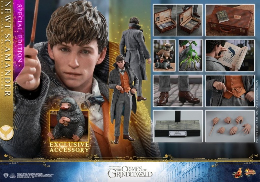 Hot Toys - Fantastic Beasts 2 - Newt Scamander Collectible Figure_PR22 (Special Version).jpg