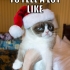 grumpy_cat_christmas_2.jpg